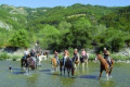 Con Equiraduno Ferrara capitale del turismo equestre