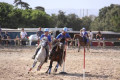 Campionati italiani Pony al circolo Le Siepi