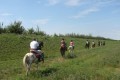 Trekking equestre nel cuore del Parco del Delta del Po
