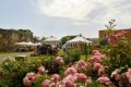 Terni in fiore 1ª edizione, mostra mercato del florovivaismo