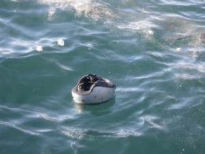 La “sicurezza” in mare!