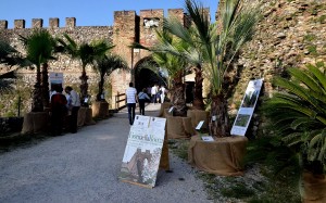 Fiori nella Rocca