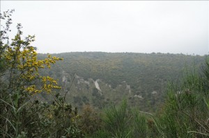 Oasi Naturalistica di Monte Nuovo: escursione gratuita 10 aprile 2011