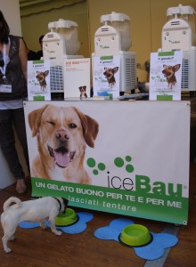 Festival del Gelato Piazza Pitti