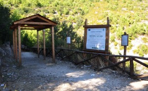 Il sentiero Mergoli-Vignanotica