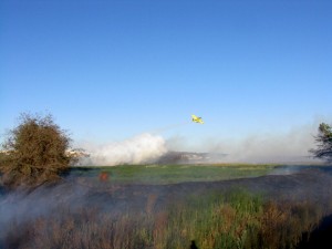 Incendio nella vora di Casarano