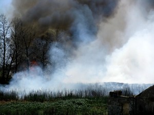 Incendio nella vora di Casarano