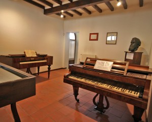 Il Museo Ponchielliano