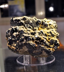 34a Mostra del Minerale e del Fossile, i protagonisti