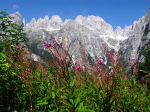 Salendo fino al Rifugio la Montanara