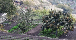 Luci e colori del paesaggio agrario montanaro a fine ottobre