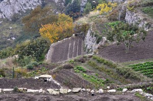 Luci e colori del paesaggio agrario montanaro a fine ottobre