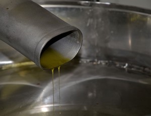 Olio: “La Produzione”