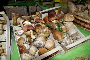 La sagra delle Tacchie ai Funghi Porcini