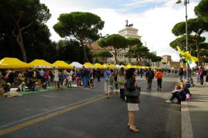 Elisir di lunga vita “Carciofi, Uva nera, Mirtilli”