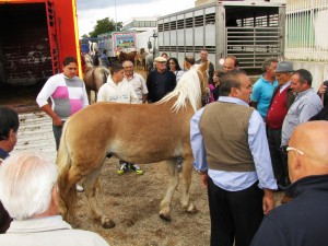 La fiera del Crocefisso