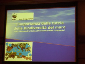 Biodiversamente 2011