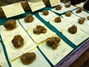 L’oro bianco del bosco: Sagra del tartufo 6/13/20 novembre