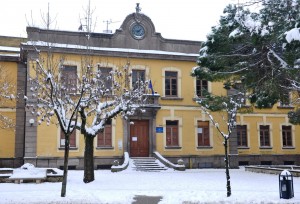 Nevicata di inizio febbraio