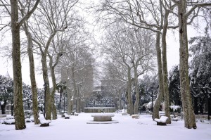 Nevicata di inizio febbraio