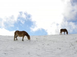 Gran Sasso