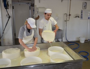 Asiago DOP – Una storia da raccontare