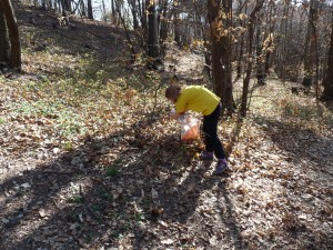 Orienteering, interprovinciali al parco della spina verde