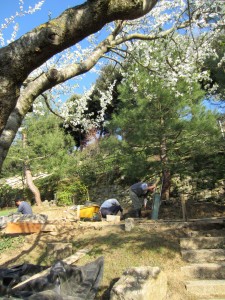 Giardino Shorai in restauro