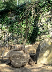 Giardino Shorai in restauro