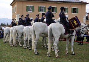 Il Palio degli Asini Sindaci