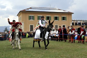 Il Palio degli Asini Sindaci