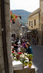 Sermoneta in rosa