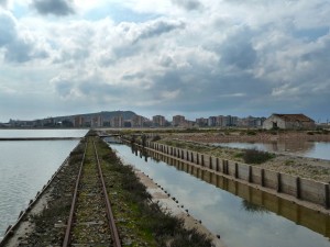 Monte Urpinu: fantastico osservatorio naturale