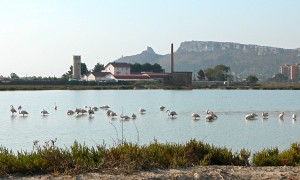 Monte Urpinu: fantastico osservatorio naturale