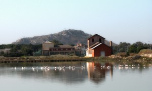 Monte Urpinu: fantastico osservatorio naturale