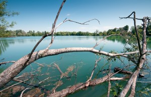 Un’oasi verde alle porte di Padova