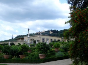 Agrumi alla Villa Medicea di Castello