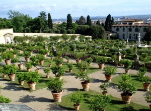 Agrumi alla Villa Medicea di Castello