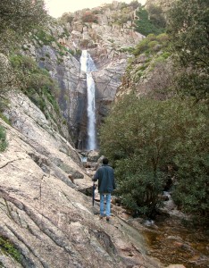 L’acqua del deserto