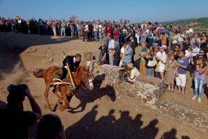 NAS o Pandelas 2012