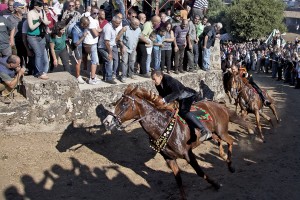 NAS o Pandelas 2012