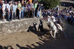 NAS o Pandelas 2012