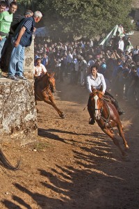 NAS o Pandelas 2012