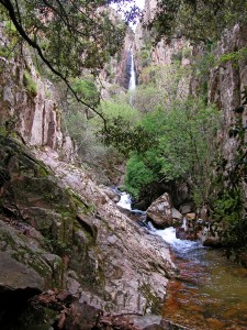 L’acqua del deserto