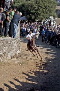 NAS o Pandelas 2012