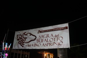 Sagra del bufalotto e del vino asprino