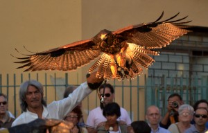 Un salto nel Medioevo