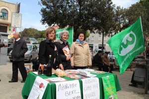 Nel giorno delle palme