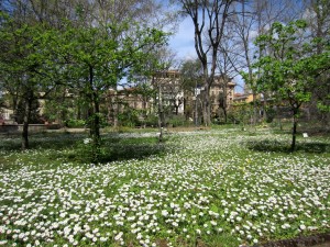 Primavera al Giardino dei Semplici