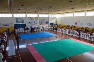 TAIKAI – 2° Stage internazionale di arti marziali